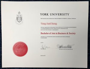 Where To Buy York University Diploma?