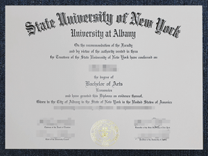 University Of New Y. Albany Diploma